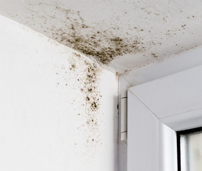 Mold-in-the-corner-of-a-ceiling